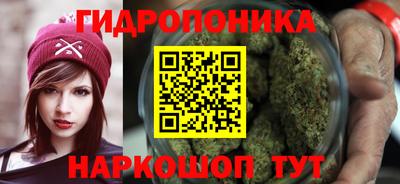 индика Бердск