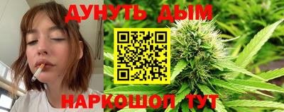 индика Бердск
