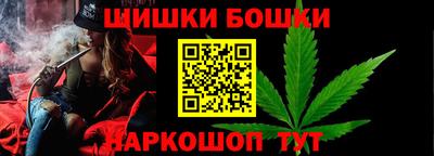 индика Бердск