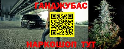 индика Бердск