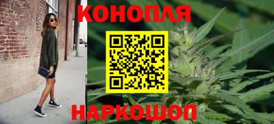индика Бердск