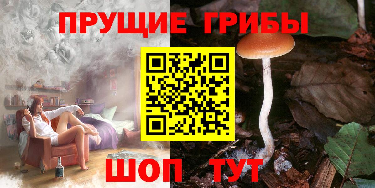 закладка  Псилоцибиновые грибы Magic Shrooms  Добрянка  Вход с VPN  Галлюциногенные грибы мицелий 